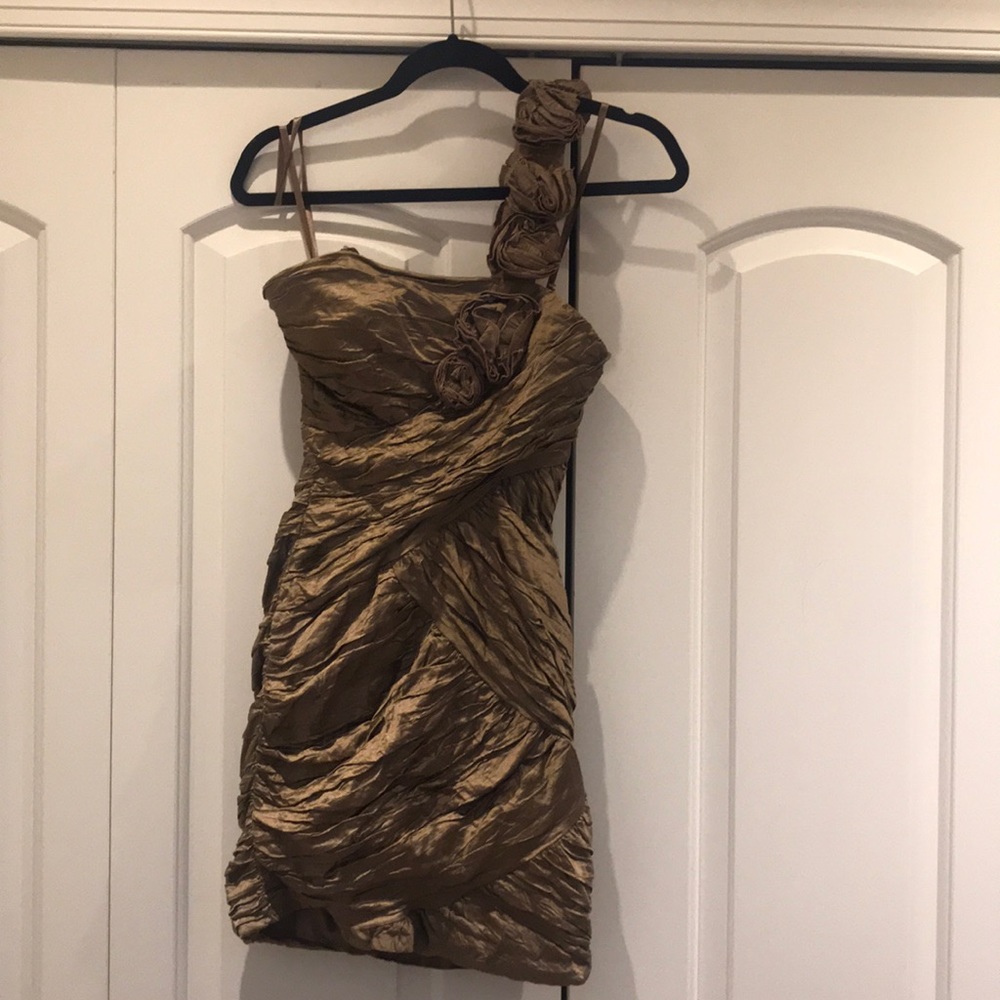 BCBG maxazria dress
